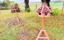 571045348_1261796539324255_4536087393627294312_n