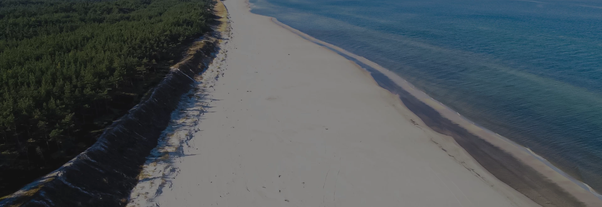 Baner wizerunkowy top Urzędu Gminy Krokowa, widok na plażę i brzeg moża z prawej, z lewej wydmy i las
